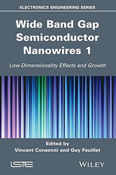 portada Wide Band Gap Semiconductor Nanowires 1: Low-Dimensionality Effects and Growth (en Inglés)