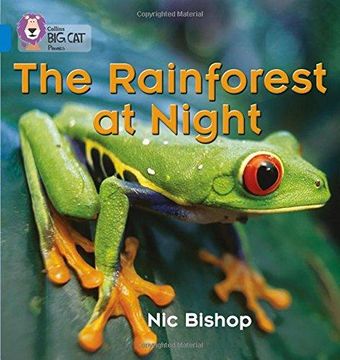 portada The Rainforest at Night: Blue / Band 4 (en Inglés)