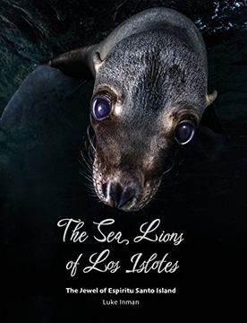 portada The sea Lions of los Islotes: The Jewel of Espíritu Santo Island (en Inglés)