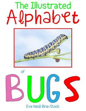 portada The Illustrated Alphabet of Bugs (en Inglés)