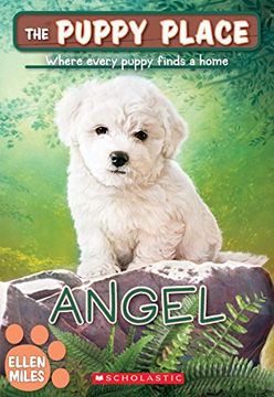 portada Angel (The Puppy Place #46) (en Inglés)