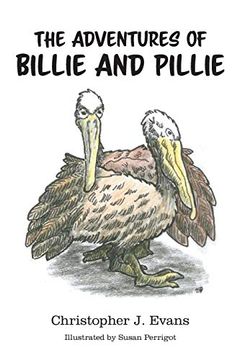 portada The Adventures of Billie and Pillie (in English)