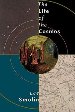 portada The Life of the Cosmos (in English)