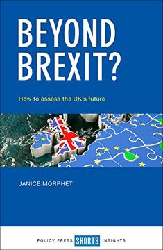 portada Beyond Brexit?: How to assess the UK's future