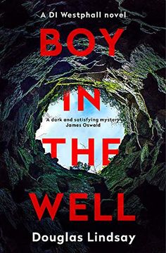 portada Boy in the Well (in English)