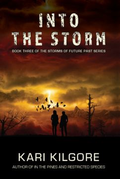 portada Into the Storm (en Inglés)