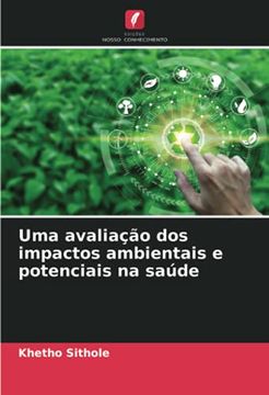 portada Uma Avaliação dos Impactos Ambientais e Potenciais na Saúde (en Portugués)