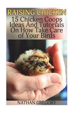 portada Raising Chicken: 15 Chicken Coops Ideas And Tutorials On How Take Care of Your Birds (en Inglés)