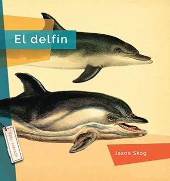 portada El Delfin