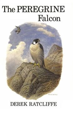 portada The Peregrine Falcon 