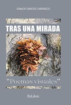 portada Tras una Mirada. Poemas Visuales (in Spanish)