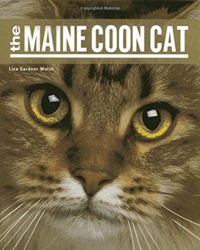 portada The Maine Coon cat (en Inglés)