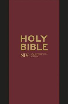 portada the holy bible: new international version. (en Inglés)