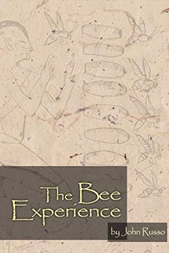 portada The bee Experience 