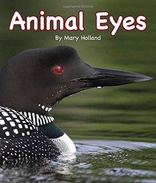 portada Animal Eyes (Arbordale Collection) (en Inglés)