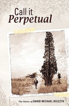 portada call it perpetual (en Inglés)