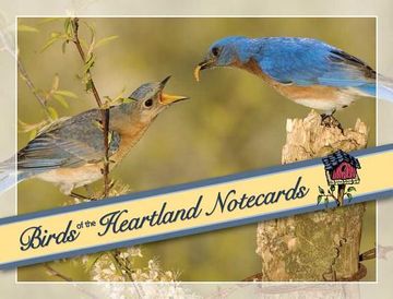 portada Birds of the Heartlands Notecards (in English)