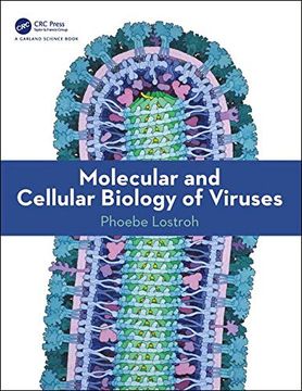 portada Molecular and Cellular Biology of Viruses (en Inglés)