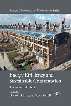 portada Energy Efficiency and Sustainable Consumption: The Rebound Effect (en Inglés)