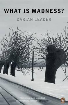 portada what is madness?. darian leader (in English)