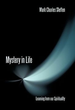 portada mystery in life: learning from our spirituality