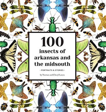 portada 100 Insects of Arkansas and the Midsouth: Portraits & Stories (en Inglés)