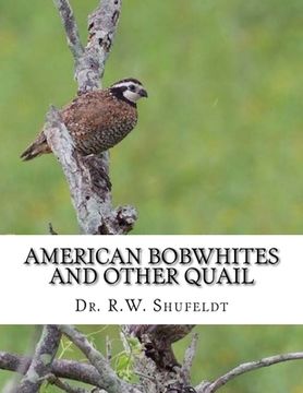 portada American Bobwhites and Other Quail (in English)