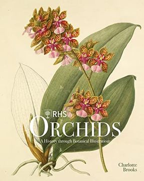 portada Rhs Orchids (en Inglés)