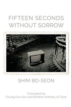 portada Fifteen Seconds without Sorrow
