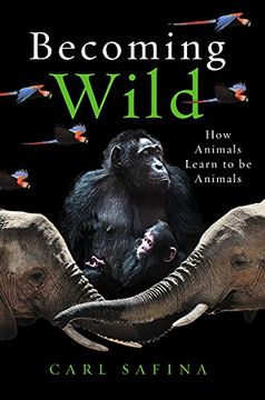 portada Becoming Wild: How Animals Learn to be Animals (en Inglés)
