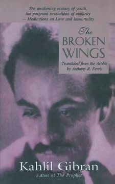portada The Broken Wings (in English)