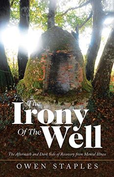 portada The Irony of the Well: The Aftermath and Dark Side of Recovery From Mental Illness (in English)