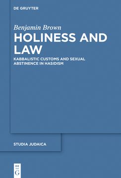 portada Holiness and Law: Kabbalistic Customs and Sexual Abstinence in Hasidism (en Inglés)