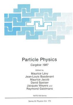 portada Particle Physics: Cargèse 1987 (en Inglés)