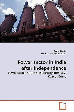 portada power sector in india after independence