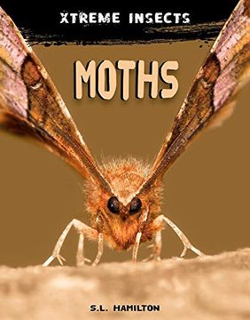 portada Moths (Xtreme Insects) (in English)