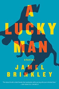 portada A Lucky Man: Stories (in English)