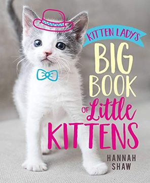 portada Kitten Ladys bbo Little Kitten (in English)