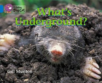 portada What's Underground? Workbook (en Inglés)