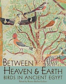 portada Between Heaven and Earth: Birds in Ancient Egypt
