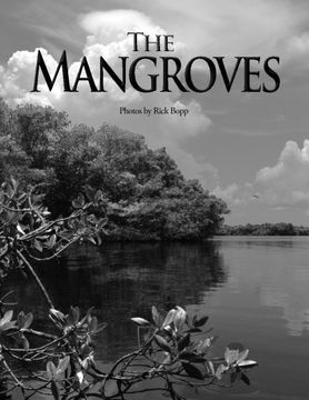 portada The Mangroves (Volume 1)