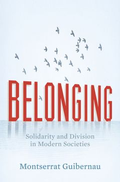portada Belonging: Solidarity And Division In Modern Societies