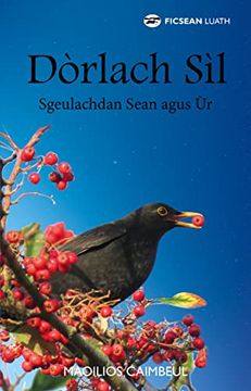 portada Dòrlach Sìl: Sgeulachdan Sean Agus ùr (en Gaélico Escocés)