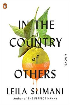 portada In the Country of Others (in English)