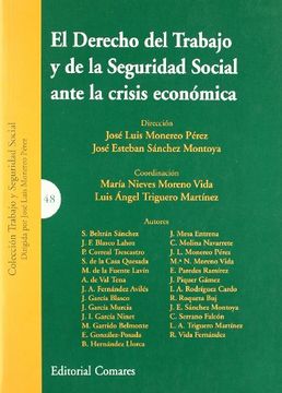 portada Derecho Trabajo y Seguridad Social Ante la Crisis Economica (in Spanish)