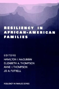 portada resiliency in african-american families (en Inglés)