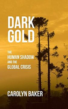 portada Dark Gold: The Human Shadow and the Global Crisis (in English)