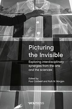 portada Picturing the Invisible: Exploring Interdisciplinary Synergies From the Arts and the Sciences (en Inglés)