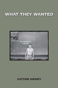 portada What They Wanted (en Inglés)