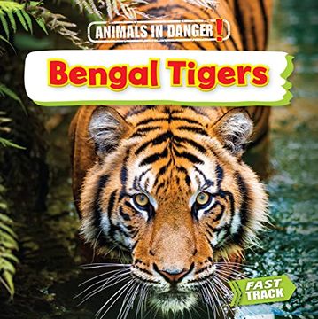 portada Bengal Tigers (Animals in Danger) (en Inglés)